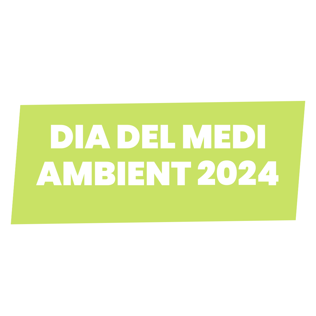 DIA DEL MEDI AMBIENT 2025