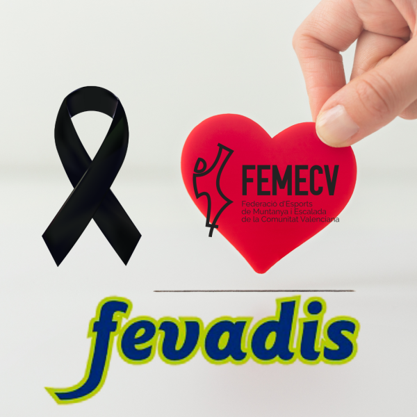 DONACIONES FEVADIS